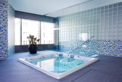 Спа бассейн USSPA Master